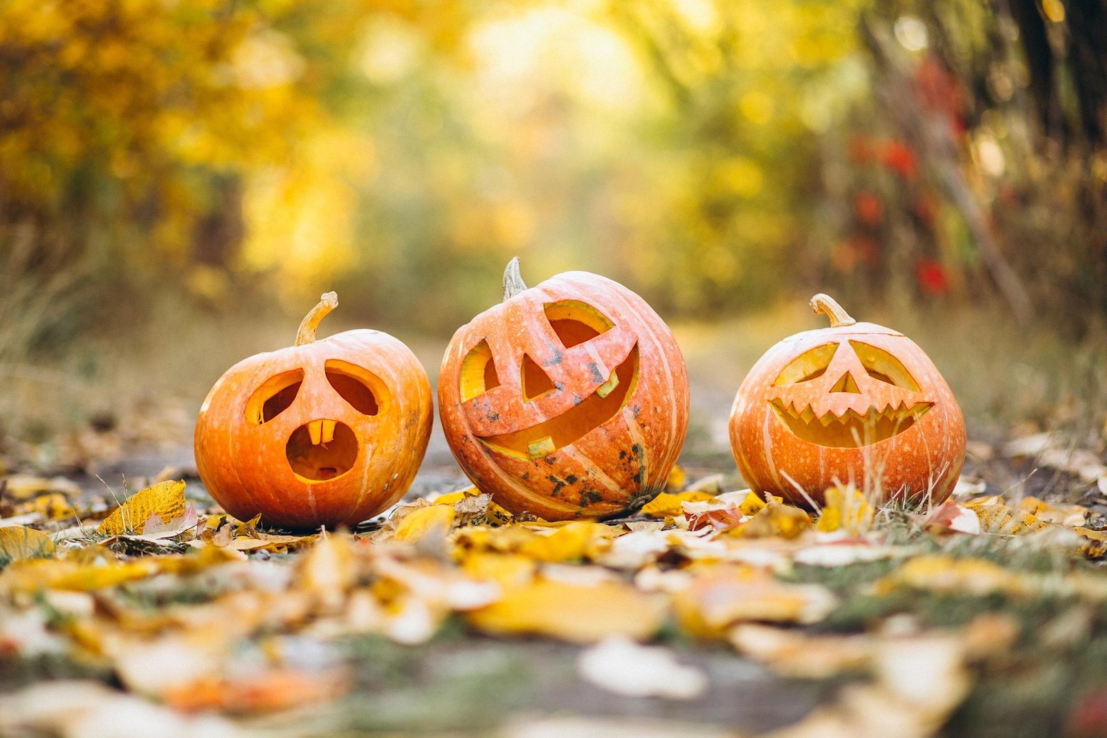 Planning d&rsquo;octobre 🎃