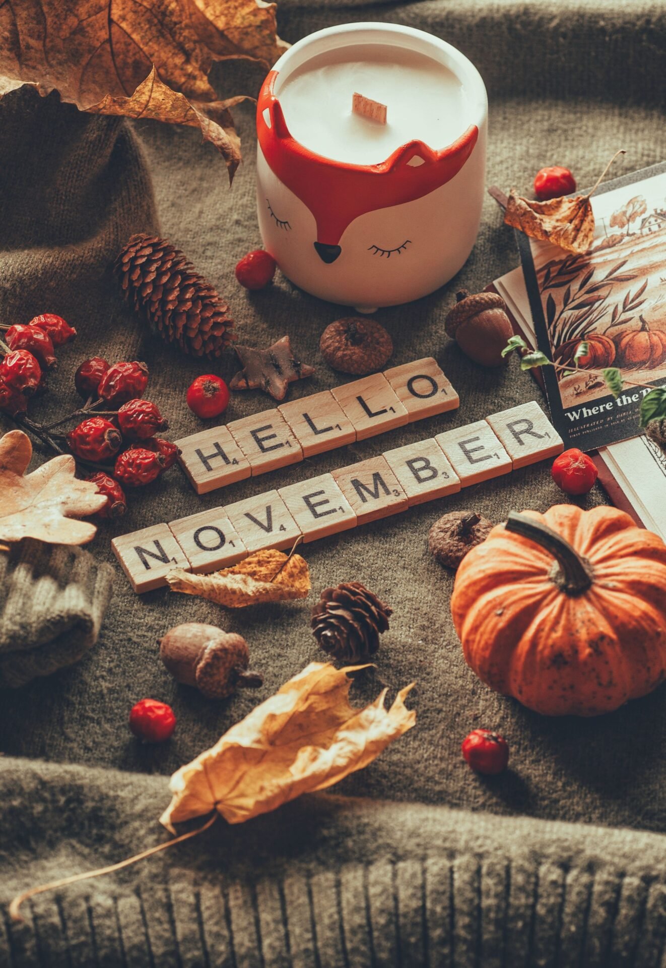 Planning Novembre 🍂